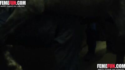 Shocking: Teen Girl Engages in Unimaginable Act with Horse - Porn Horse