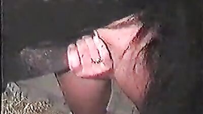 Shock Revelation: Animal Group Engages in Horse Sex