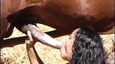Wild Ride: Amateur POV of Dirty Horse Fucking
