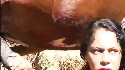 Wild Ride: Amateur POV of Dirty Horse Fucking