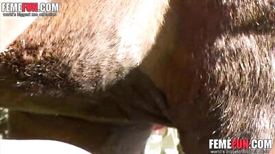 Stunning Blonde: I Took a Horse's Dick Into My Pussy