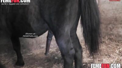 Dirty Girl's Wild Ride: The Uninhibited Love of Horse Fucking Hard