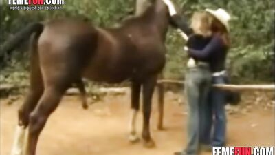 Blonde Bombshell Takes Horse's Dick for a Wild Ride
