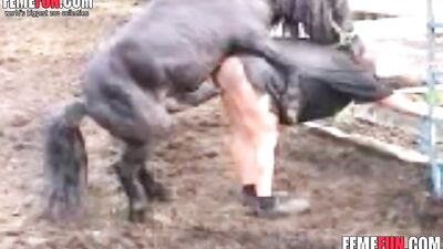 Shocking Video: Horny Short Hair Ass Fucking Horse for Free