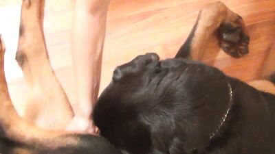 Blonde brunette bitch fucking cum: An Explosive Encounter