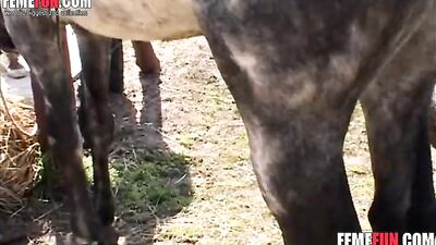 Experience Unparalleled Pleasure with a Deep Throat and Horse Cumshot