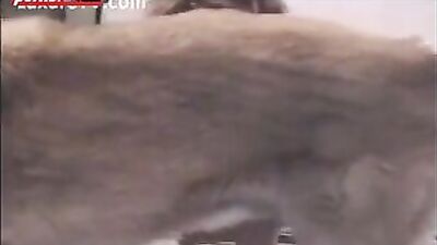 Girl's Wild Ride: She Gets Rocked by a Horse