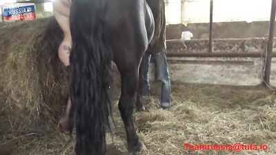 TeamRussia Petlove: My Gymnast Girl's Amazing Equine Adventure