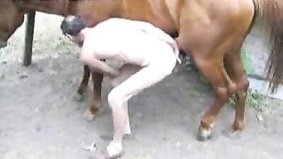A Zoophile Man and His Horse Show Their Unconventional Love In Animal Porn Free