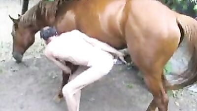 A Zoophile Man and His Horse Show Their Unconventional Love In Animal Porn Free
