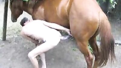 A Zoophile Man and His Horse Show Their Unconventional Love In Animal Porn Free