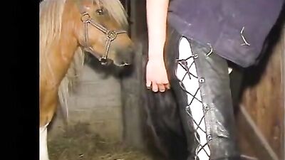 The Unbelievable Bond Between a Horse, a Doggy, and a Woman