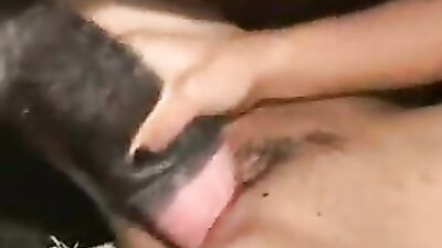 Explosive Pleasure: Watch Horse Fucking Woman Porn XXX Gozando