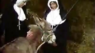 Sinful Sisters: Experience the Thrill of Poor Horse Porn with Beasty Nuns