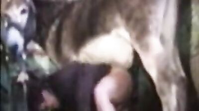 Smarty Horse Public Gives Lustful Babe a Wild Ride