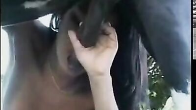 Woman Captured in Jaw-Dropping Act of Horse-Sucking