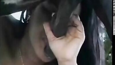 Woman Captured in Jaw-Dropping Act of Horse-Sucking
