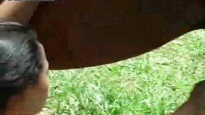 Experience the Wild Eroticism of Horse Fucking - Animal Porn Free