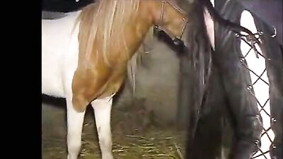 Farmwoman in Leather Costume Rides Horse for Animal Porn Free