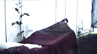 Shocking Video of Horse Sucking Little Babe Goes Viral: Animal Porn Free
