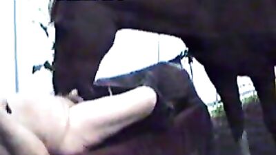 Shocking Video of Horse Sucking Little Babe Goes Viral: Animal Porn Free