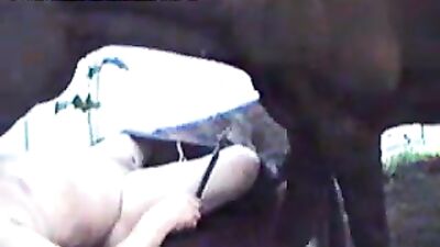 Shocking Video of Horse Sucking Little Babe Goes Viral: Animal Porn Free