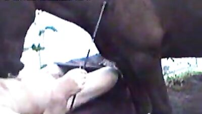 Shocking Video of Horse Sucking Little Babe Goes Viral: Animal Porn Free