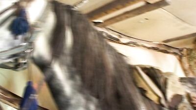 Outrageous Act: Man Caught Having Sex with Horse