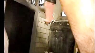 Watch the Sexy Ass Teaching Horse Give a Lesson in Pleasure