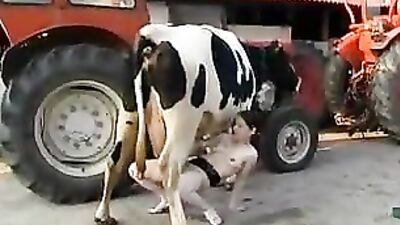 Wild Ride: Horny Bitch Slut Rocks the Barnyard with Horse