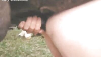 Riding Hard: The Wild World of Horse Fucking Ass