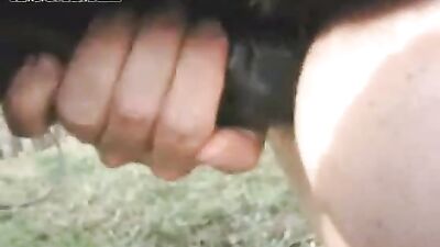 Riding Hard: The Wild World of Horse Fucking Ass