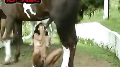 WARNING: Stunningly Shocking Zoo Porn - Dog Sex and Horse Porn