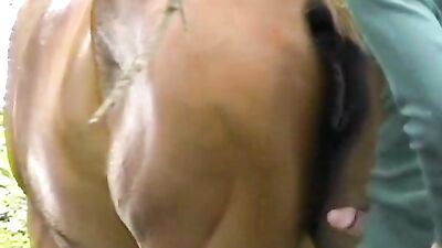Man Caught in the Act of Unthinkable Animal Abuse