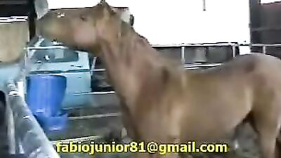 Outrageous Dirty Gay Obsession with Horse Anal Sex Revealed