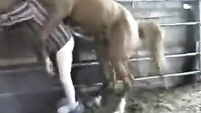 Outrageous Dirty Gay Obsession with Horse Anal Sex Revealed