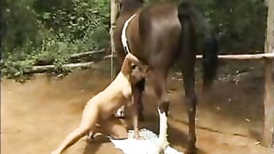 Lucky Guy Gets the Ride of His Life with Hot Latina Babe