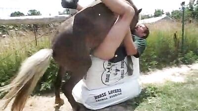 Ride the Wildest Stallions with Big Cock Horse Porn