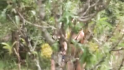 Free zoo sex videos to watch online, including horny horses and other exotic animals.