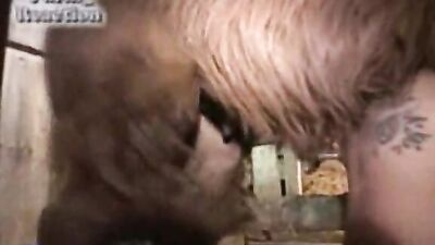 Wild and Unbelievable: Explore the World of Crazy Animal Porn