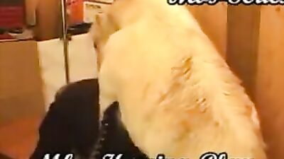 Unbelievable: Free HD Video of Hardcore Dog and Woman Sex