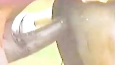 Unbridled Passion: Experience Hardcore Horse Fucking