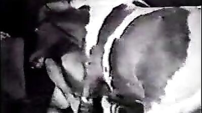 Unbridled Passion: Get Ready for Horse Sex Free