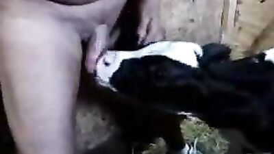 A Dirty Man's Unconditional Love for a Babe Cow