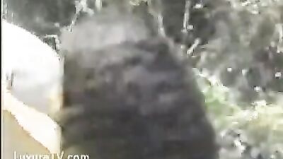 Latina Babe Sucks Hard on Horse Dick - The Poor Babe's Story