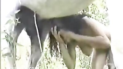 Latina Babe Sucks Hard on Horse Dick - The Poor Babe's Story