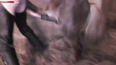 Galloping Into A Wildly Incredible New Love: Horse Fucking Curly Girl