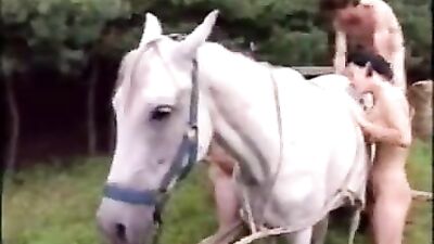Outrageous Public Man Caught in Unspeakable Act with Horse