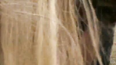 Experience the Wild Heat of a Hot Cock Horse Fucking a Lustful Black Hair