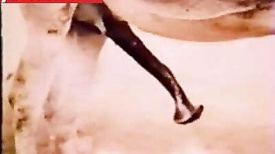 Shock and Awe: Horse Porn Video Goes Viral